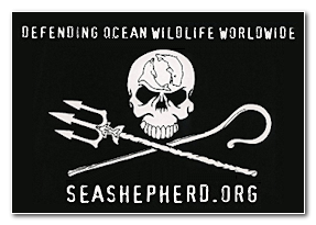 seashepherd.org
